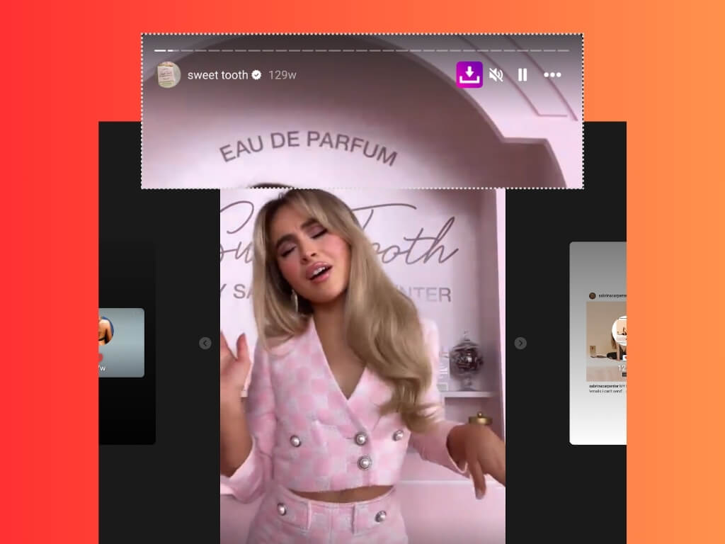 Instagram Post / Reels Downloader