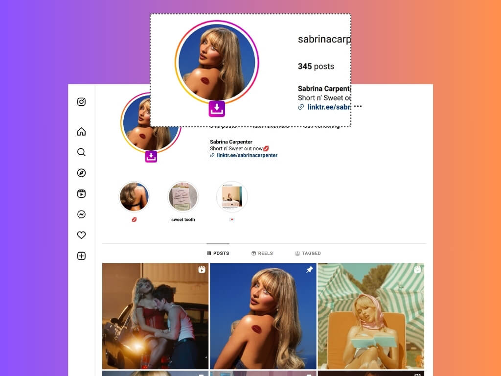 Instagram Profile Picture Downloader